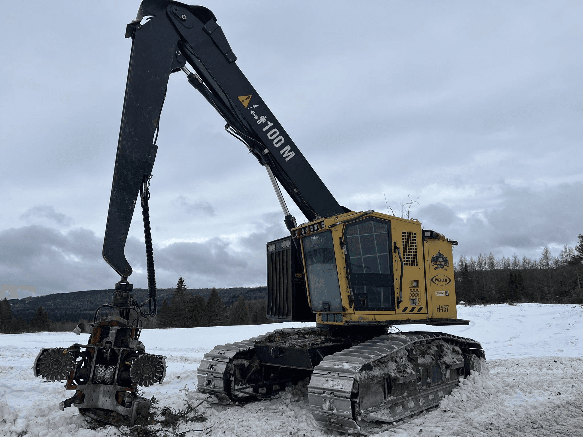 Abattage directionnel avec abatteuse forestière - Techniques avancées d'abattage d arbres au Québec