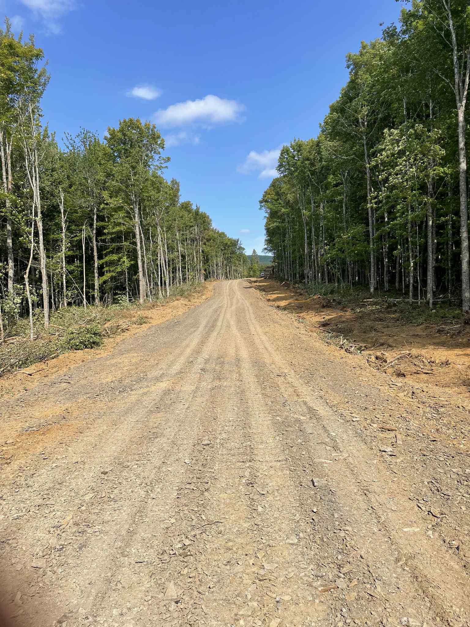 Chemin forestier de qualité supérieure