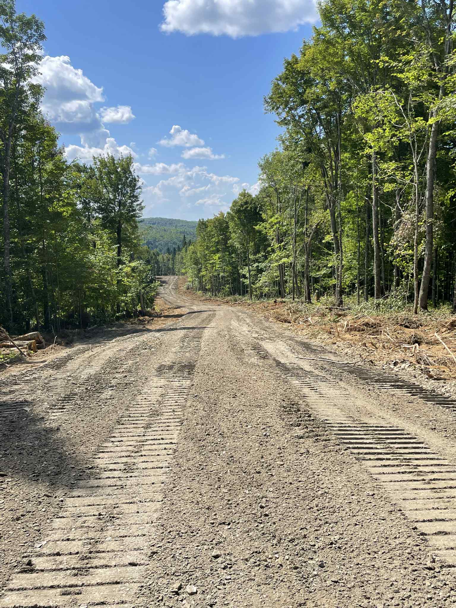 Chemin forestier des Chantiers du Lac