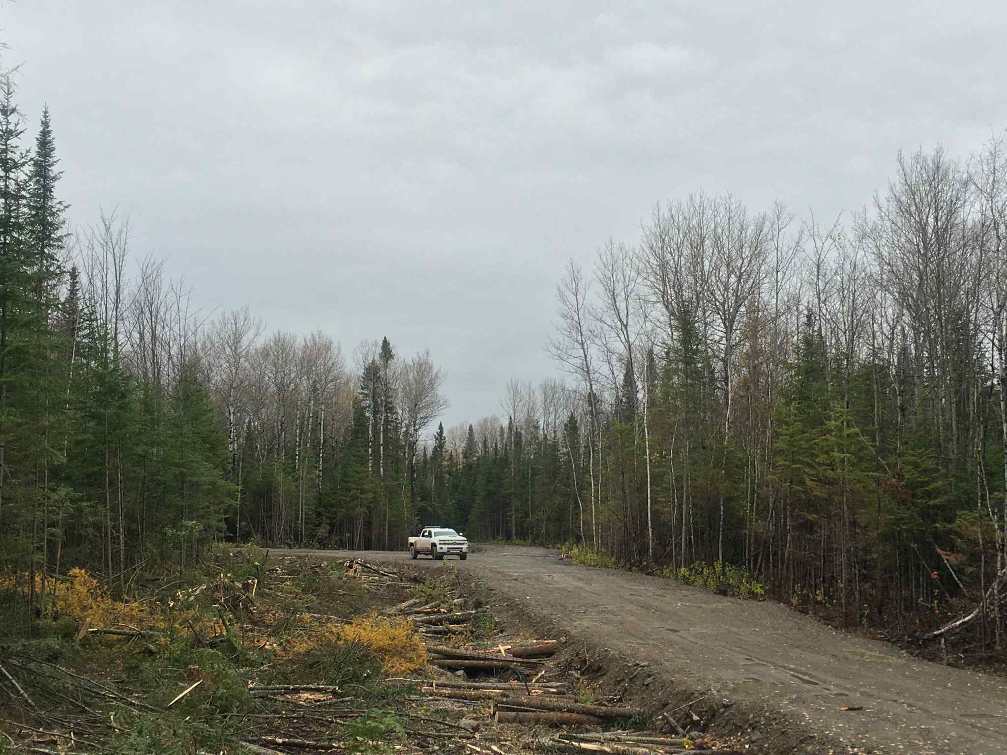 Chemin forestier accessible aux véhicules